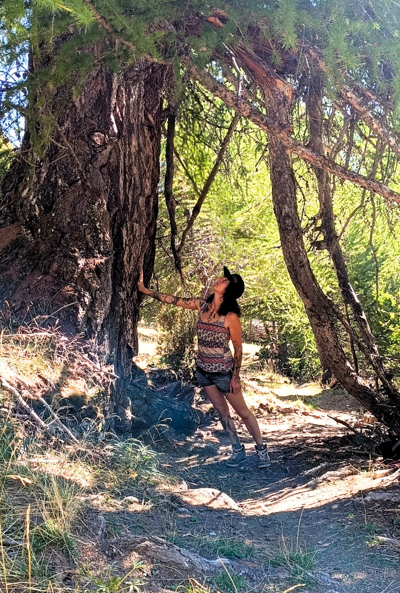 Sylvothérapie / Shinrin-yoku